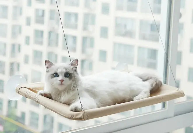 Feline Window Lounger