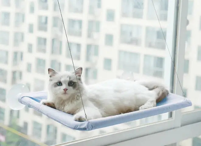 Feline Window Lounger