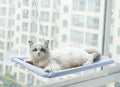 Feline Window Lounger